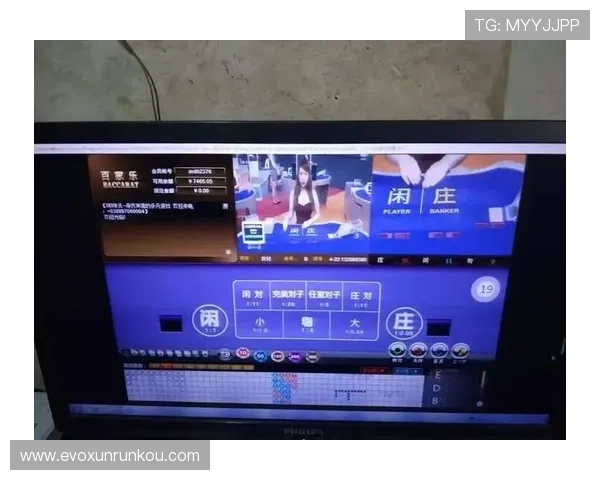 百家乐路单记录器的功能解析及其在赌博策略中的重要作用
